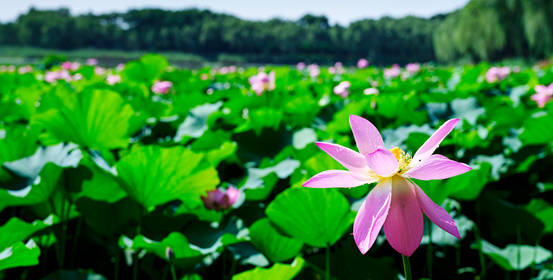 九游会·J9(中国游)官方网站-真人游戏第一品牌