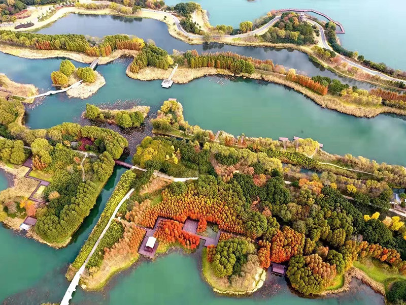 九游会·J9(中国游)官方网站-真人游戏第一品牌